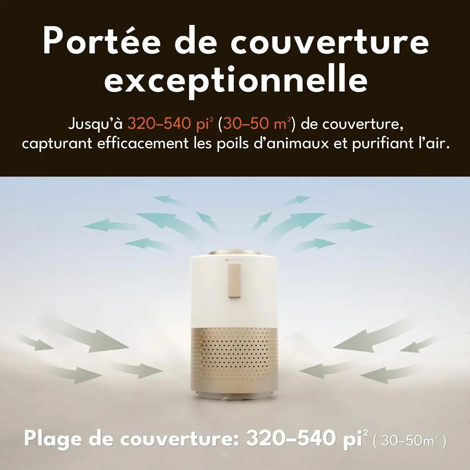 PetSnowy Purificateur d’air