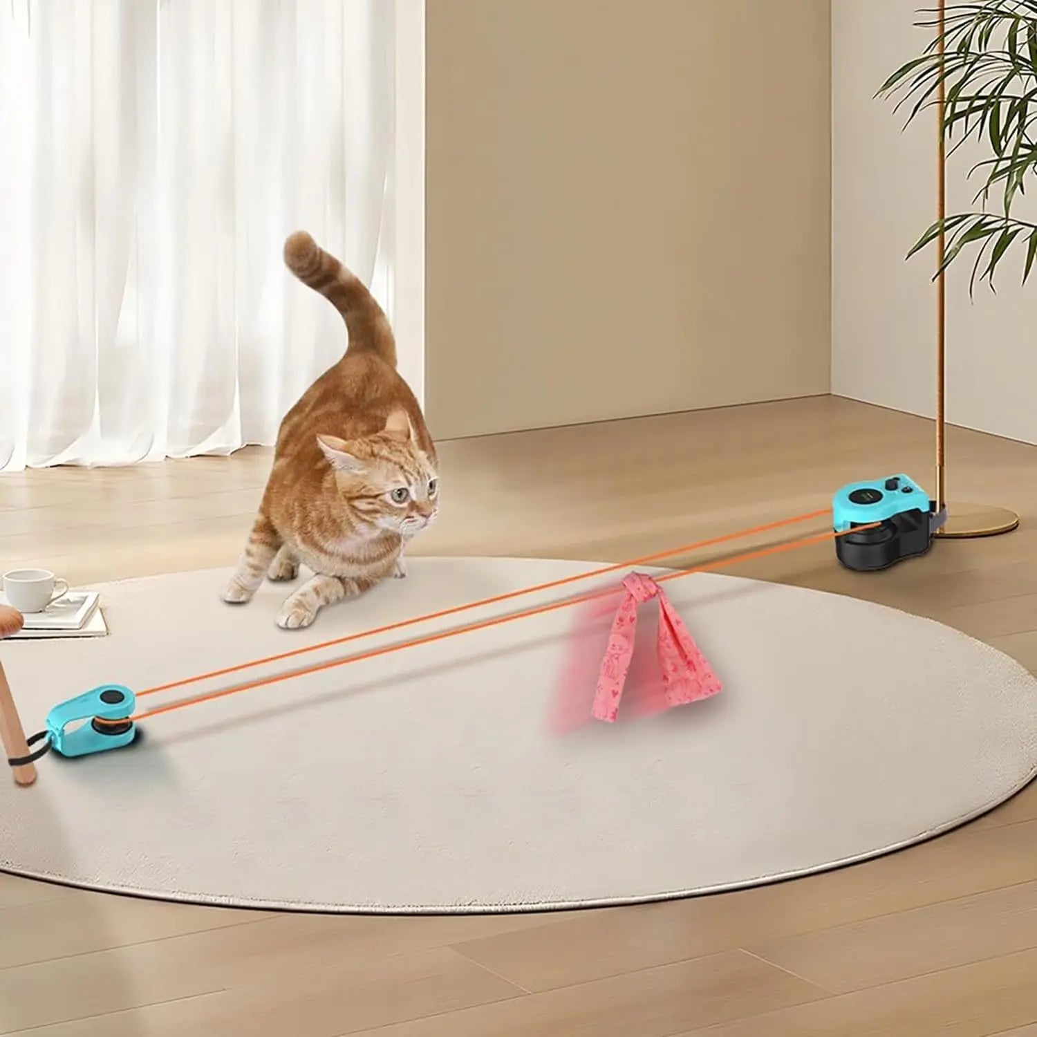 Cat Wheel Exerciser Rope Toys