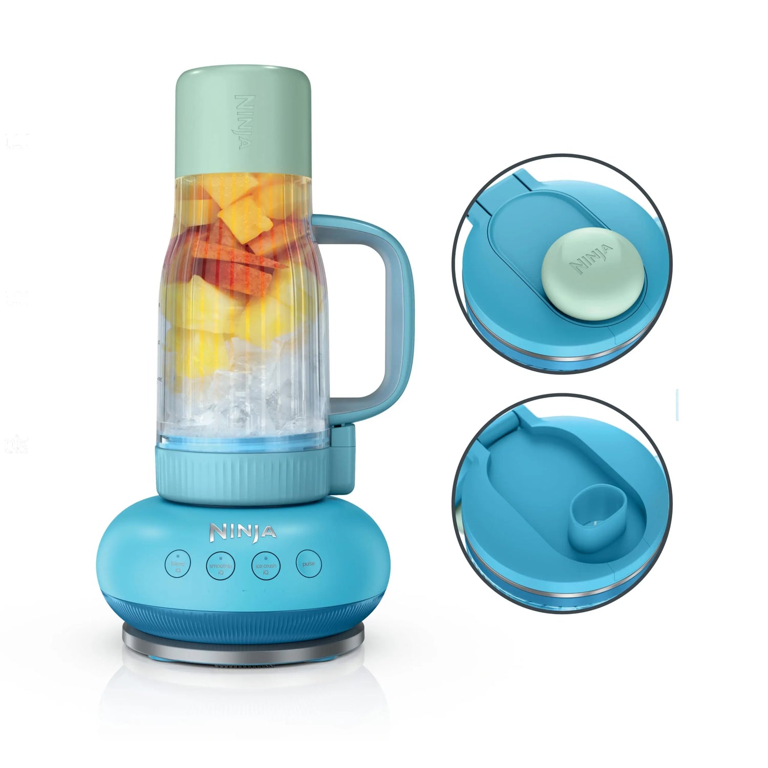 Ninja BlendBOSS Personal Smoothie Blender