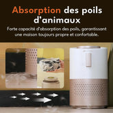 PetSnowy Purificateur d’air