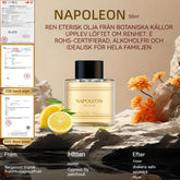 2025 Car Air Purifier 50ml Perfume